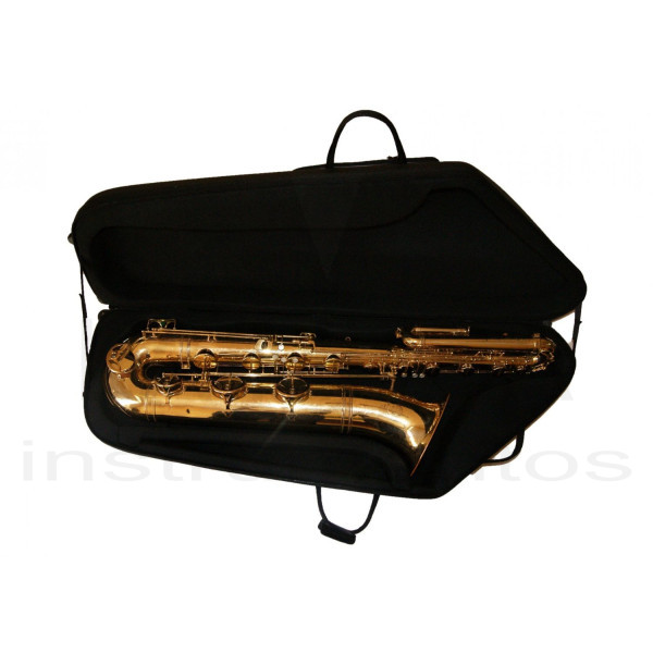 Bass saxophone case shop